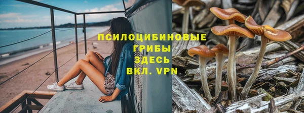 эйфоретик Нягань