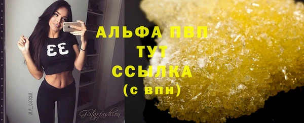 PSILOCYBIN Нязепетровск