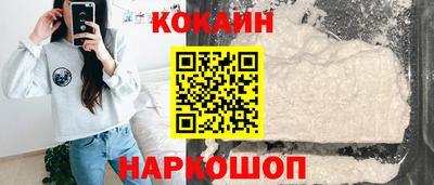шишки Кандалакша