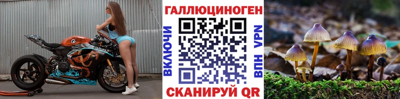 Псилоцибиновые грибы мухоморы  Светлоград 