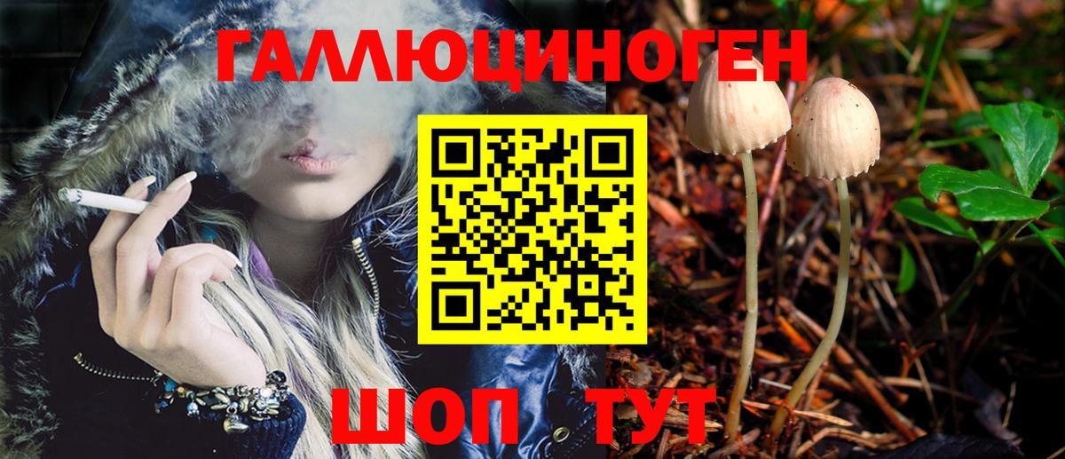 Псилоцибиновые грибы GOLDEN TEACHER  где можно купить наркотик  Светлоград  Галлюциногенные грибы мицелий 
