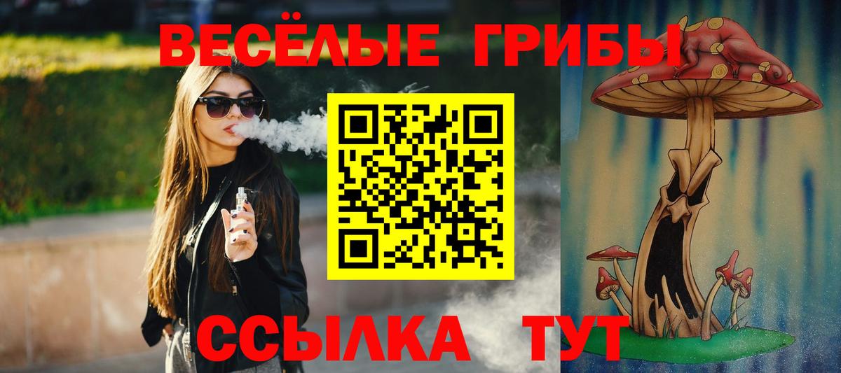Псилоцибиновые грибы Psilocybine cubensis  как найти наркотики  Светлоград  Вход с VPN 
